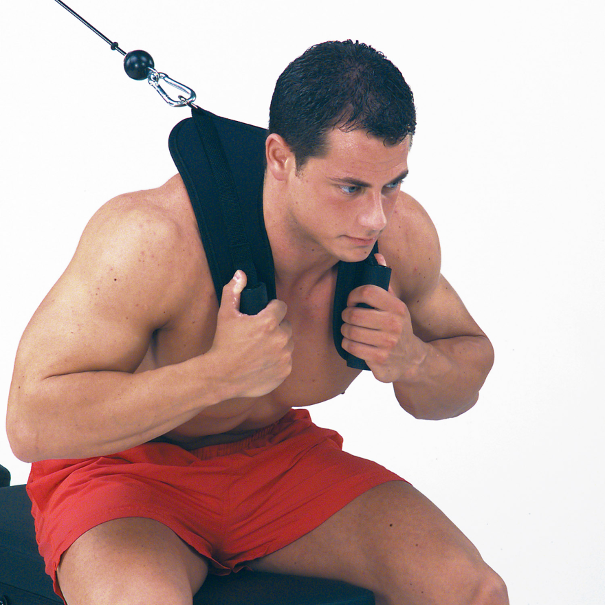 Body-Solid Bauchmuskel-Harness ACH-18