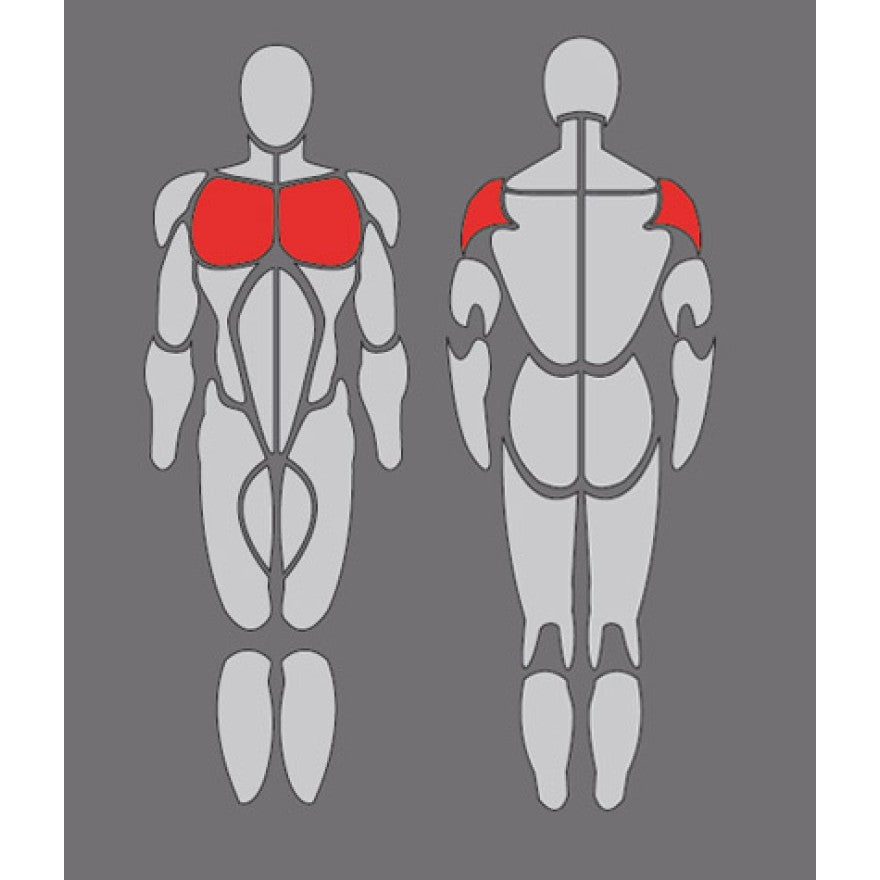 Body-Solid Pro Dual Butterfly und Reverse Butterfly DPEC