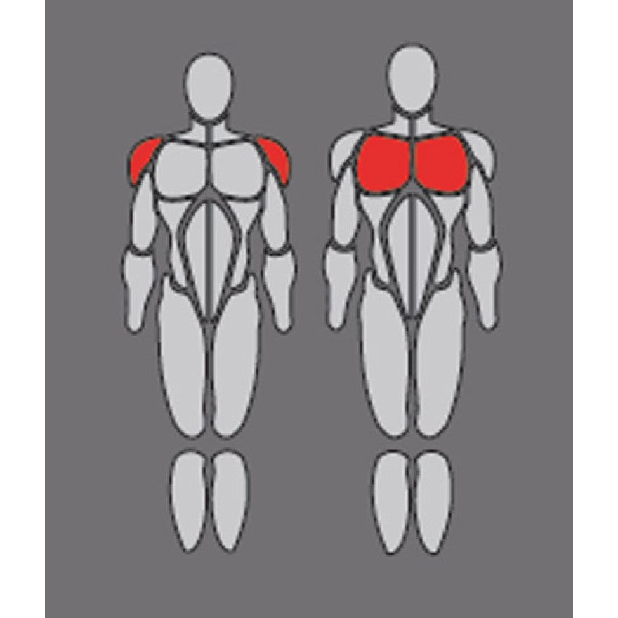 Body-Solid Pro Dual Multi-Press-Station DPRS