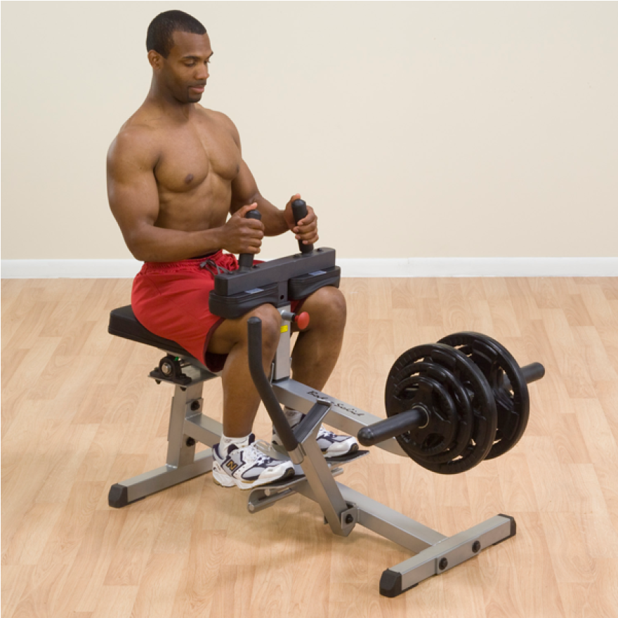 Body-Solid Wadenmaschine Pro GSCR-349