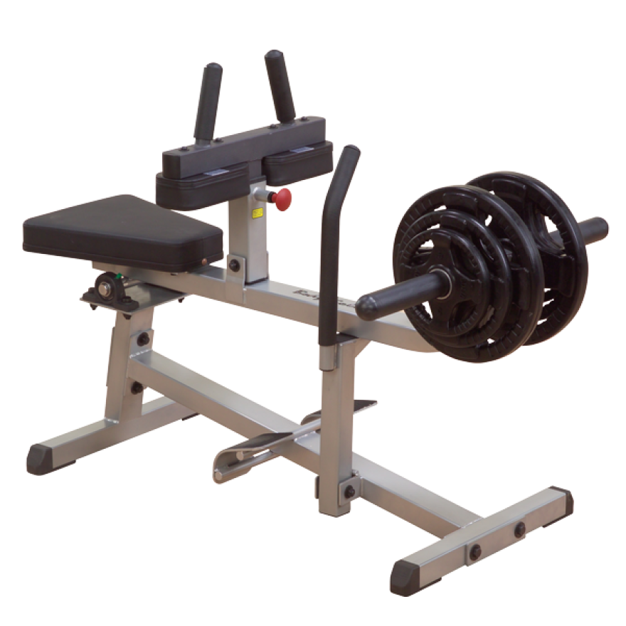 Body-Solid Wadenmaschine Pro GSCR-349