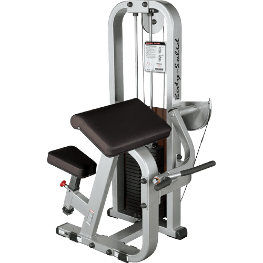 Body-Solid Pro Club Line Bizeps-Maschine SBC-600