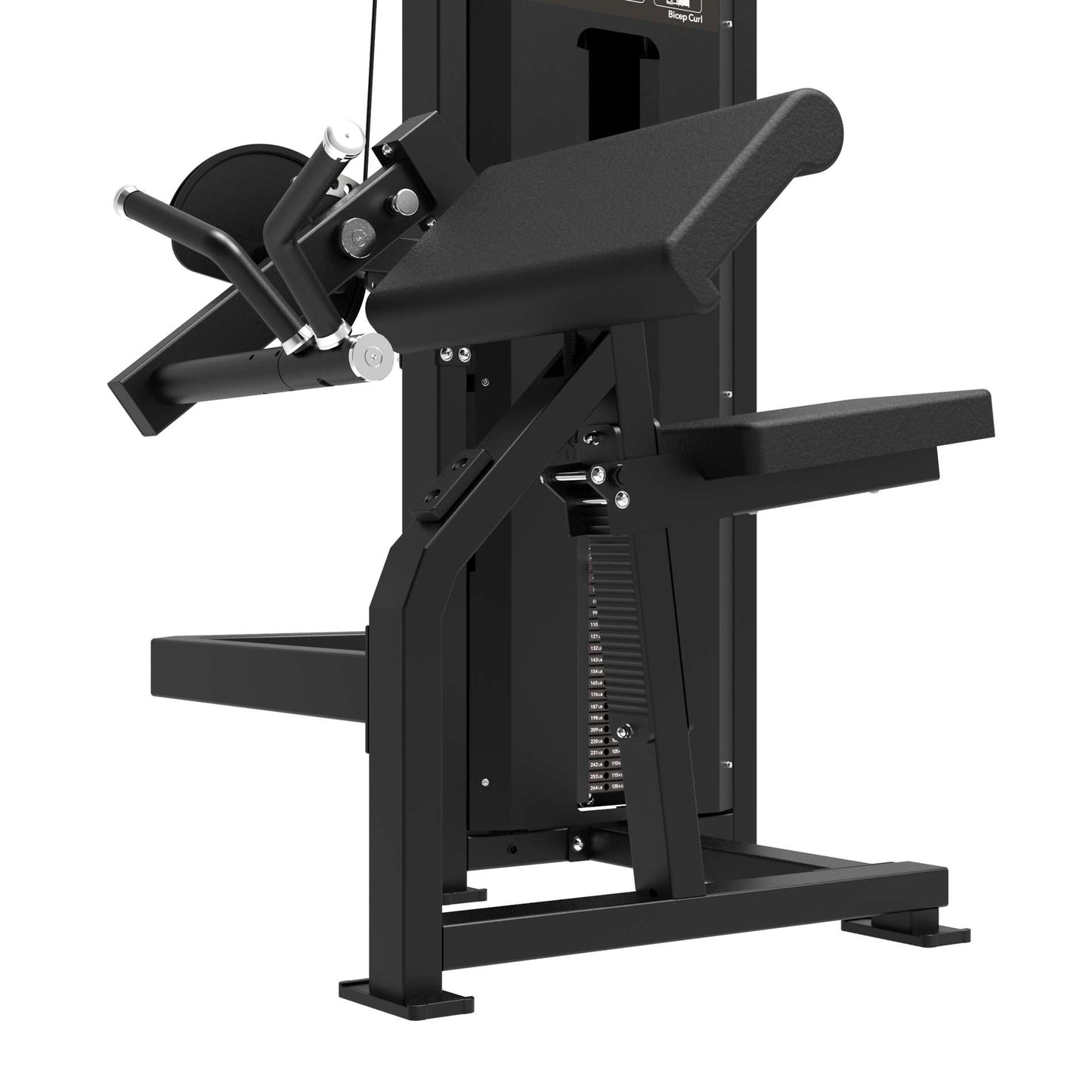 Tunturi Platinum Bicep Curl Kraftstation