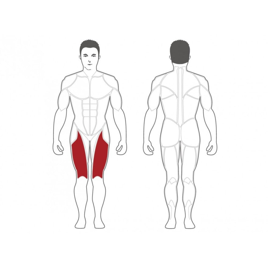 Steelflex Plate-Load Isolateral Beinstrecker PLLE