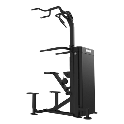 Bodytone Assisted Chin Dip FB13v2