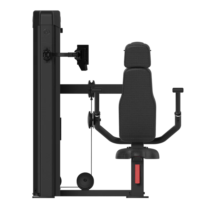 Bodytone Chest and Triceps FB32v2