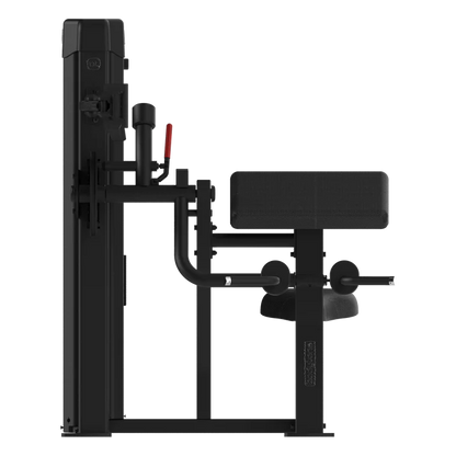 Bodytone Biceps / Dual Triceps FB33v2