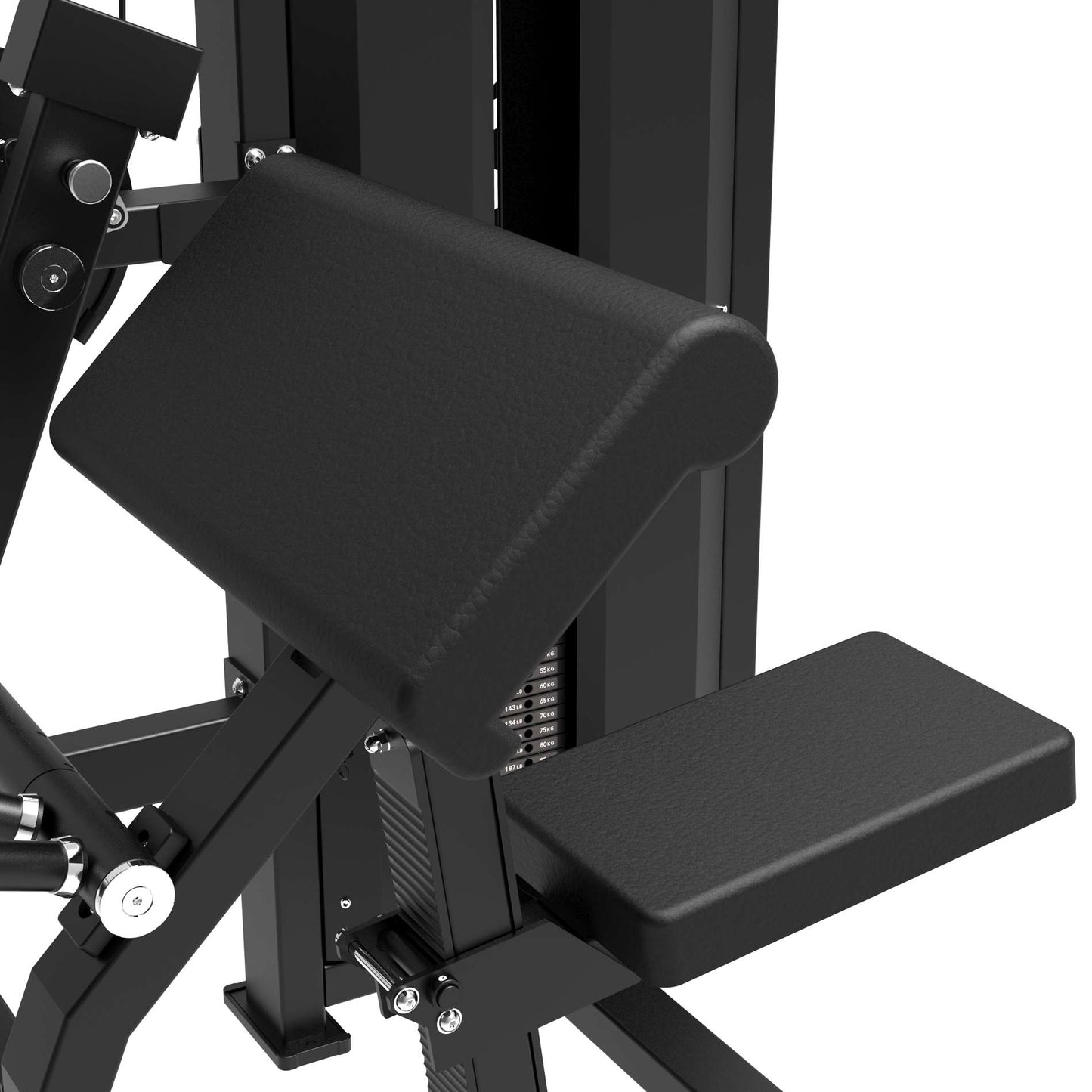 Tunturi Platinum Bicep Curl Kraftstation