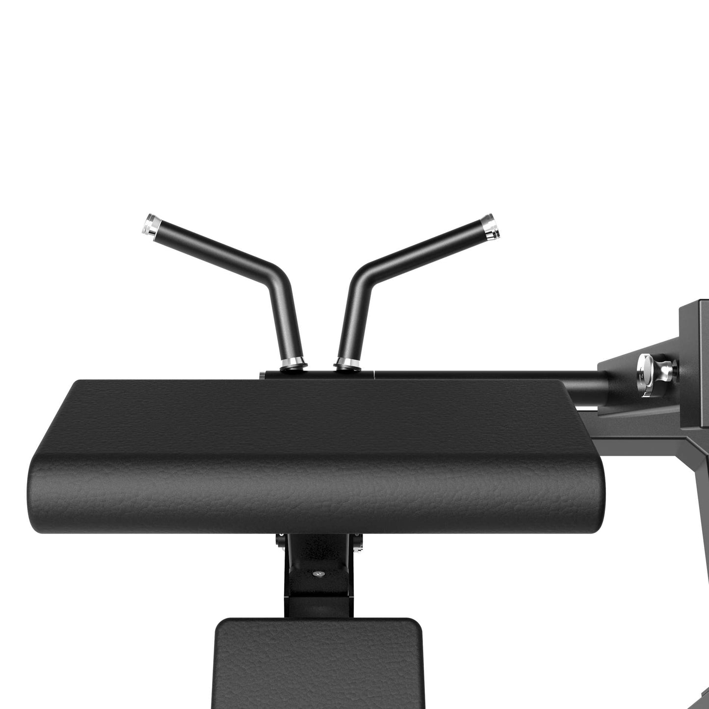 Tunturi Platinum Bicep Curl Kraftstation
